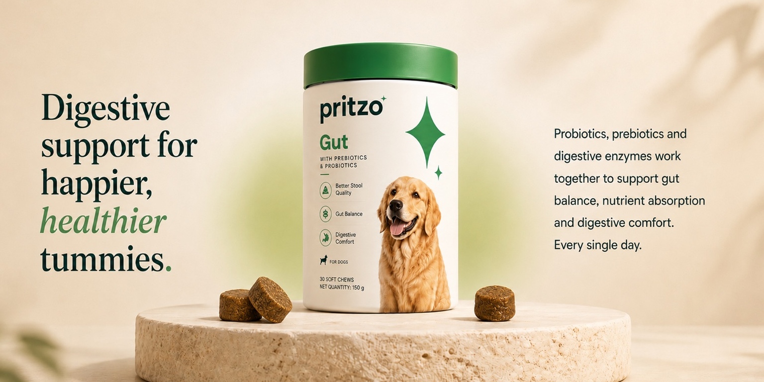 Pritzo Gut product stage